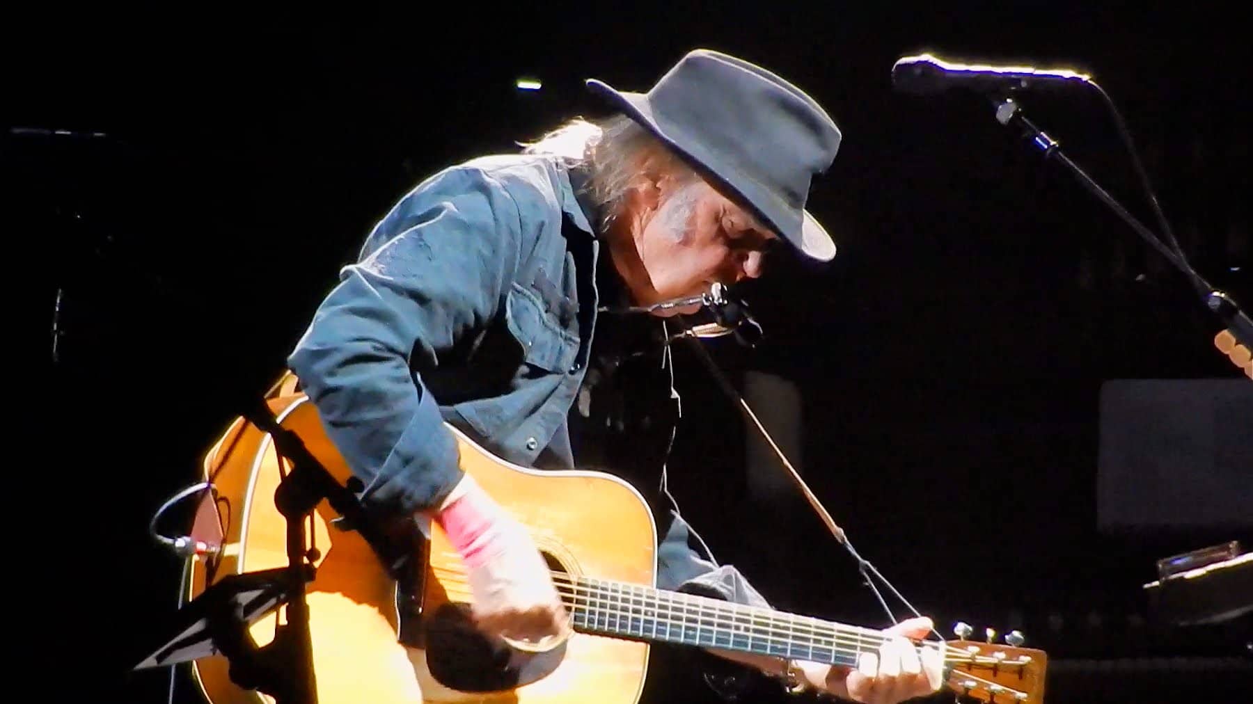 Buy Discount Neil Young Tickets Neil Young Promo Code